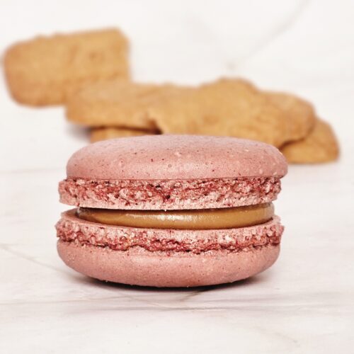 Speculoos